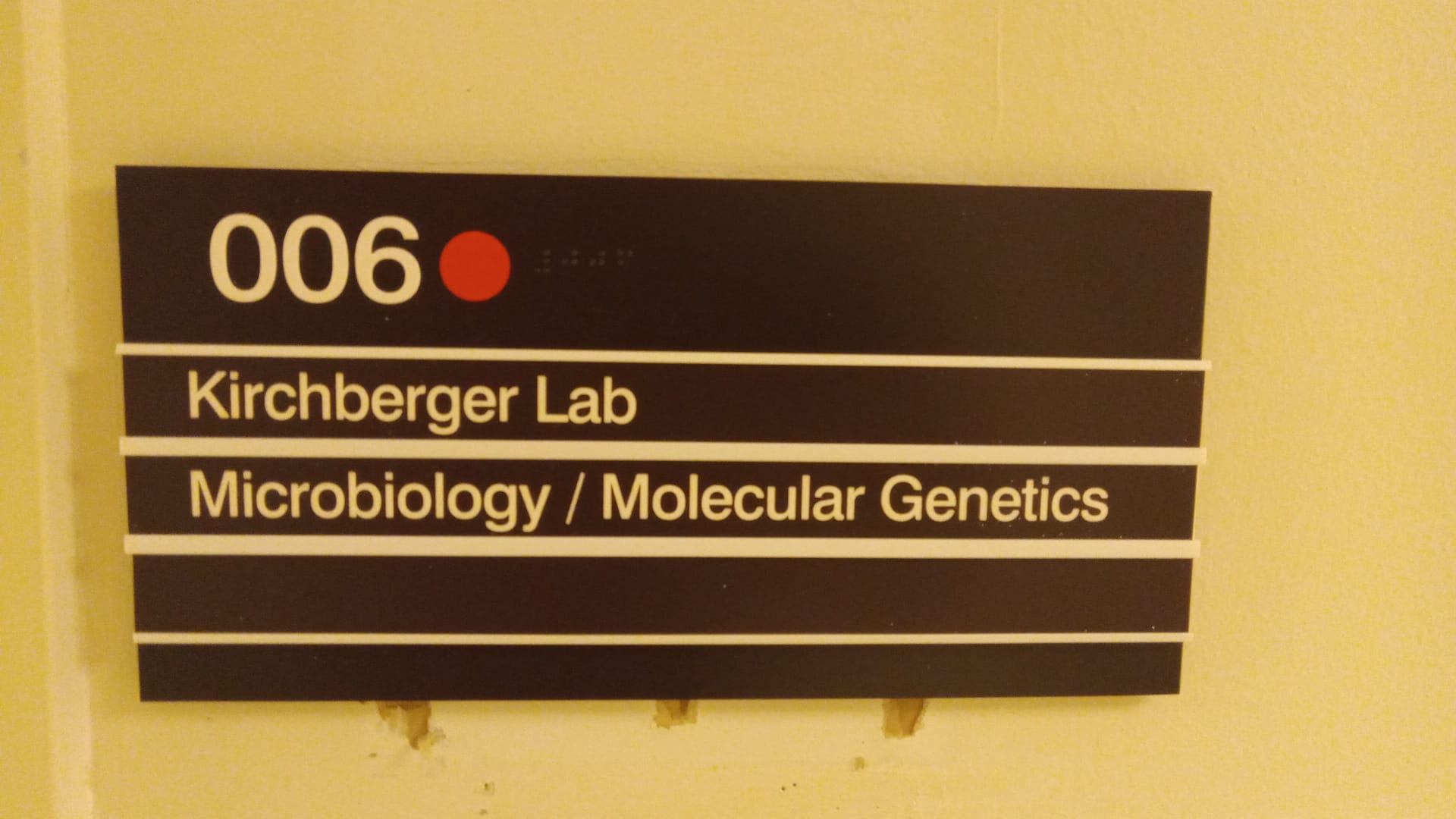 New labspace, new virus structures